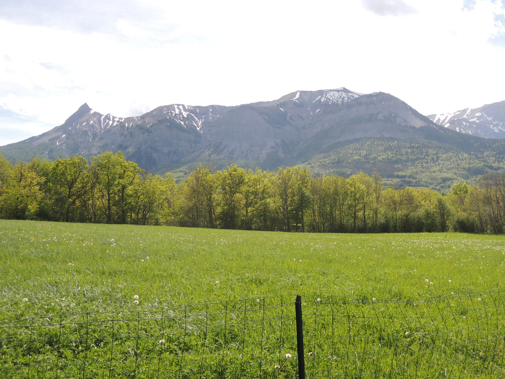 Vue estivale campagne du Gîte l'Aiguille à Saint-Bonnet en Champsaur