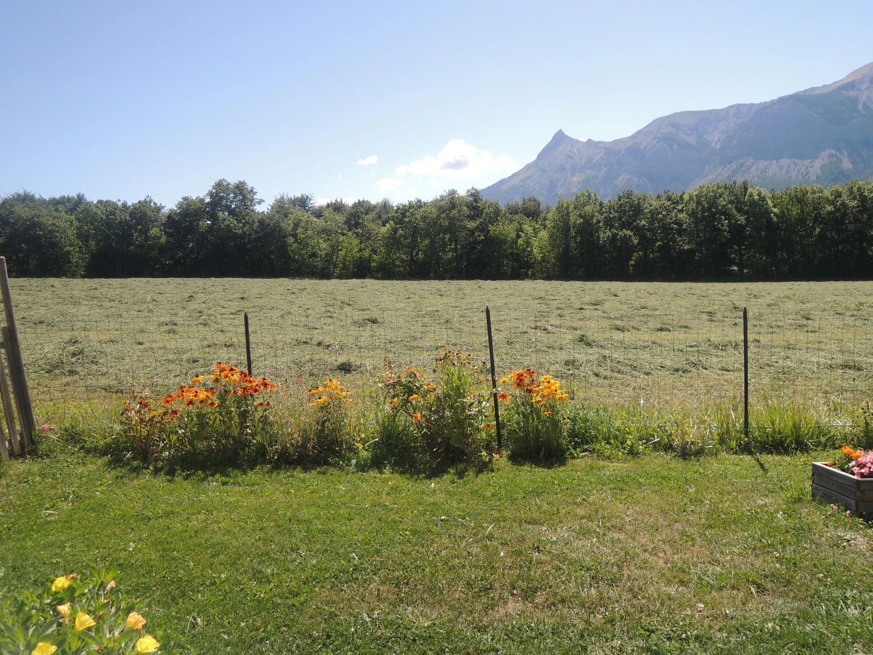 Vue depuis le jardin du Gîte Le Noyer à Saint-Bonnet en Champsaur